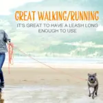 Reflective Long Dog Leash for Training and Walking, Multi-Size Fit – gallery image 7