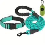 Reflective Pet Leash and Adjustable Nylon Collar for Dog Walking & Control – gallery image 5