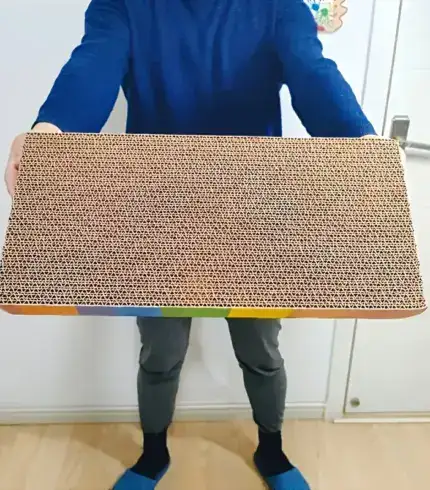 0fc2e522-5d1f-4f0c-a366-db9fad1a6b01