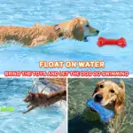 Squeaky Dog Chew Toy for Sound-Activated Play and Chewing – gallery image 7