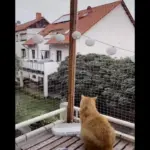 Transparent Mesh Protection Net for Balcony and Window Barrier Use with Fixed Plastic Buckles – gallery image 11