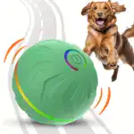 USB Rechargeable Pet Bouncy Ball for Interactive Rolling & Bouncing Play – gallery image 2