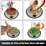 2pcs Stainless Steel Cat Bowls for Pet Feeding with Non-Slip Rubber Base – gallery image 10