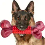 Dog Chew Toy for Chewing & Teething with Nylon and Rubber Construction – gallery image 3
