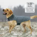 Winter Dog Coat for Cold Weather with Reflective Trim and Adjustable Fit – gallery image 4