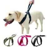 Adjustable No-Pull Dog Harness for Walking & Jogging with Reflective Accents and Control Handle – main image