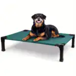 Cooling Elevated Dog Bed for Pet Resting with Breathable Mesh Surface and Metal Frame – gallery image 25