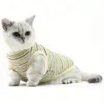Pink Striped Ribbed Dog Vest for Easy Pullover Wear with Soft Knit Fabric – gallery image 18