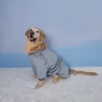 Large Dog Round Neck Sweatshirt for Warmth and Everyday Wear, Soft Stretch Fabric – gallery image 5