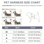 Soft Padded Dog Harness for Walking & Control with Breathable Mesh and Reflective Trim – gallery image 4