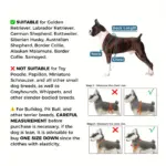 Dog Bodysuit for Warmth & Shedding Control with Contrast Color Design – gallery image 7