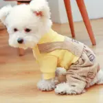 Small Dog Jumpsuit for Pet Wear & Coverage with Knit Polyester and Snap Button Closure – gallery image 9