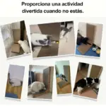 L-Shaped Cat Scratching Board for Scratching & Claw Maintenance with Sturdy L-Shape Design – gallery image 7