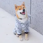 Panda-Themed Hooded Dog Jumpsuit for Warm Wear in Cooler Weather, Coral Fleece – gallery image 10