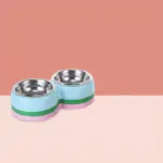 Stainless Steel Double Pet Bowl for Feeding with Removable Inserts – gallery image 13