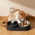 3-in-1 Pet Feeder and Automatic Water Dispenser for Cat and Dog Feeding with Non-Slip Tilted Bowl – gallery image 10
