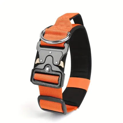 2cf0aec7-d659-42bd-92ec-fb3ee3ce131e