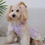 Dog Dress for Pet Wear and Costume Styling Plaid Pattern, Purple Color – gallery image 7