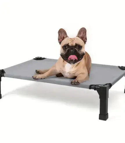 2dd5aa99-9e39-4969-beef-679a3614daf5