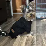 High-Neck Pet Cuffs for Neck Coverage & Warmth, Textured Fabric – gallery image 6