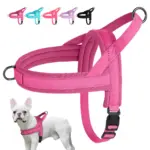 Soft Padded Dog Harness for Walking & Leash Control, Adjustable Vest Style – gallery image 9