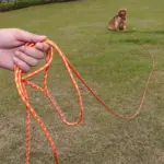 Reflective Long Dog Leash for Training and Walking, Multi-Size Fit – gallery image 2