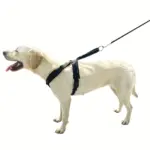 Adjustable No-Pull Dog Harness for Walking & Jogging with Reflective Accents and Control Handle – gallery image 7