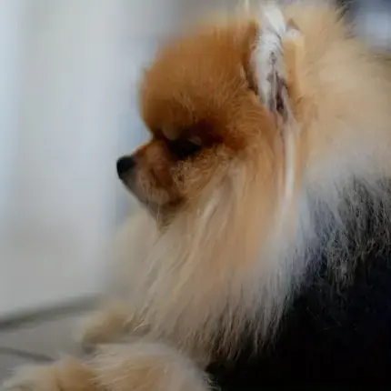 34aaeee3-4603-4f46-99c0-a300c8244cf2