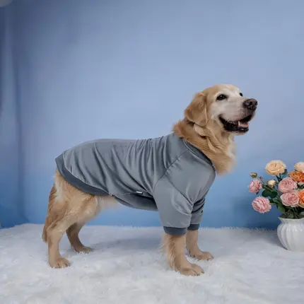 371a8edf-8aba-48d5-b221-408379a4eb40