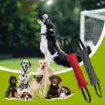 Durable Dog Bite Stick for Chewing & Tug Play with Dual Handles – gallery image 5