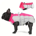 Dog Winter Jacket for Cold Weather Wear with Windproof Design & Reflective Detail – main image