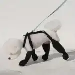 Dog Paw Boot Leggings for Outdoor Walking in Wet Weather with Anti-Slip Sole – main image