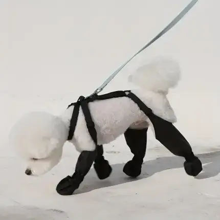 3ecfc71c-fb0d-4fd9-b005-8d34b5900279