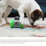 Interactive Dog Tumbler Puzzle Toy for Treat Dispensing & Play – gallery image 13
