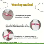 Bone-Shape Pet Harness and Leash for Walking & Control with Chest and Back Triangle Design – gallery image 9