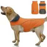 Winter Dog Coat for Cold Weather with Reflective Trim and Adjustable Fit – gallery image 17