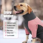 Dog Bodysuit for Warmth & Shedding Control with Contrast Color Design – gallery image 10