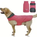 Winter Dog Coat for Cold Weather with Reflective Trim and Adjustable Fit – gallery image 16