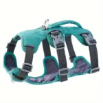 Adjustable Escape-Resistant Dog Harness for Walking & Leash Control with Front and Back Clip Points – main image