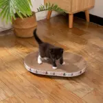 Oval Cat Scratching Bed for Scratching & Resting with Sturdy Cardboard Surface – gallery image 2