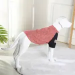 Pet T-Shirt for Medium and Large Dogs, Red and White Stripes – gallery image 9