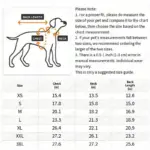 Quick-Dry Dog Bathrobe for Drying After Bathing & Grooming with Embroidered Detail – gallery image 4