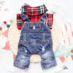 Plaid Imitation Denim Dog Jacket for Warmth and Outdoor Wear – gallery image 10