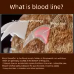 LED Pet Nail Clipper for Trimming Cat and Dog Nails with Ergonomic Non-Slip Handle – gallery image 7