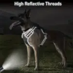 Dog Harness for Training and Walking with Reflective Trim and Top Control Handle – gallery image 14