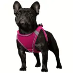 Soft Padded Dog Harness for Walking & Control with Breathable Mesh and Reflective Trim – gallery image 11