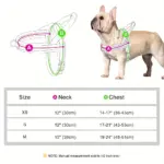 Soft Padded Dog Harness for Walking & Leash Control, Adjustable Vest Style – gallery image 4