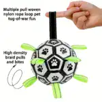 Chew-Resistant Bouncy Dog Toy for Fetch & Interactive Play – gallery image 5