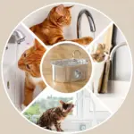 Automatic Pet Water Fountain for Dispensing Drinking Water, Stainless Steel Body & Water Level Window – gallery image 2