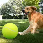 Inflatable Large Tennis-Style Ball for Interactive Pet Play & Training – main image